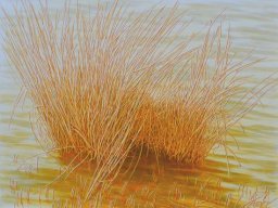 Sunny afternoon 95x125 cm